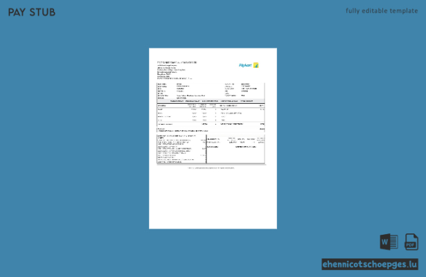 Flipkart Services Gehaltsabrechnungsbeispiel (Vorschau)